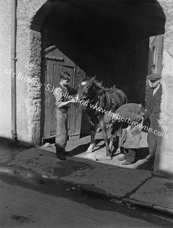 BLACKSMITH SHOEING HORSE